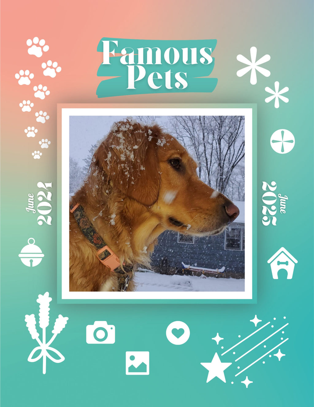 Famous Pets: June 2024-June 2025 Wall Calendar (Pre-Order)