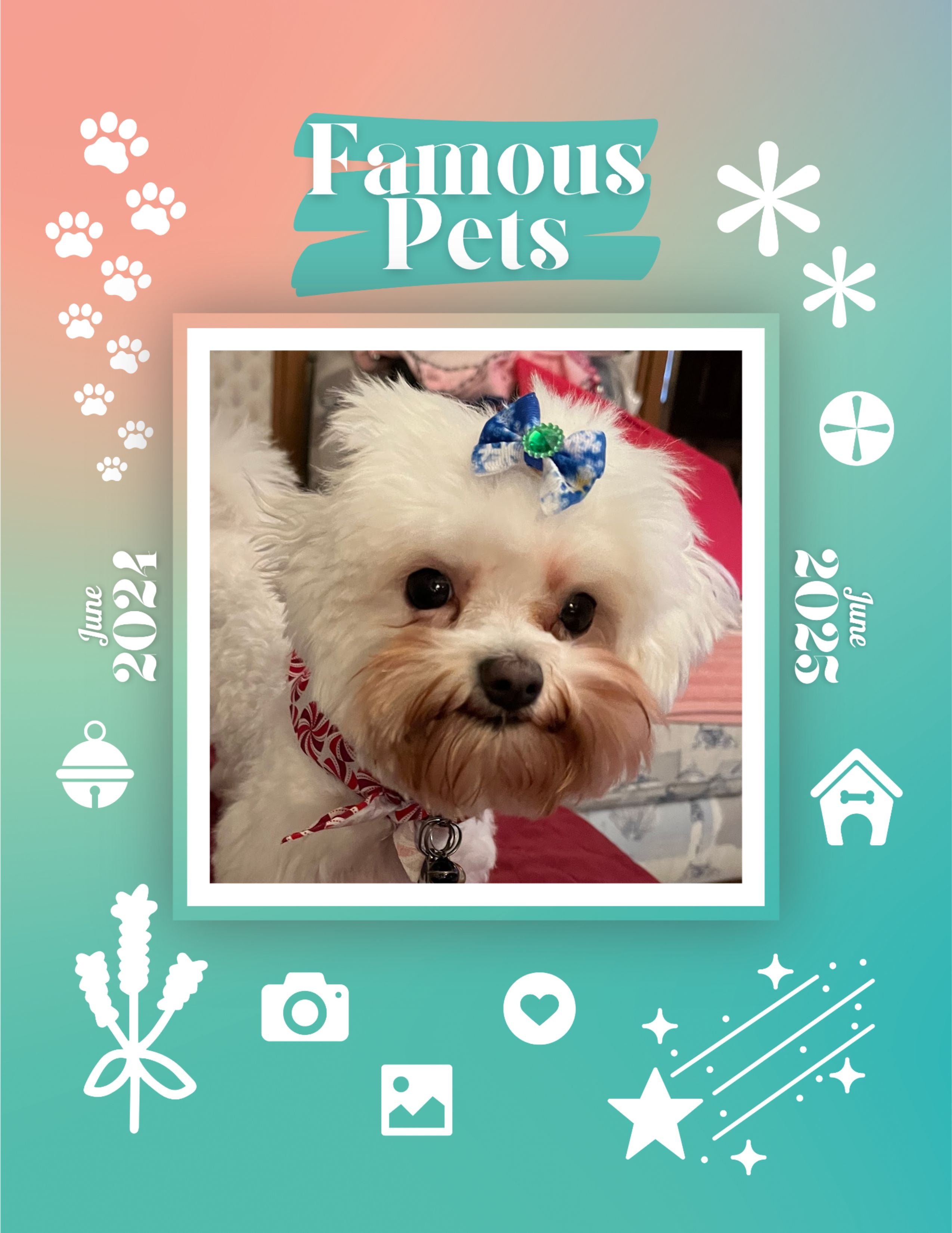 Famous Pets: June 2024-June 2025 Wall Calendar (Pre-Order)