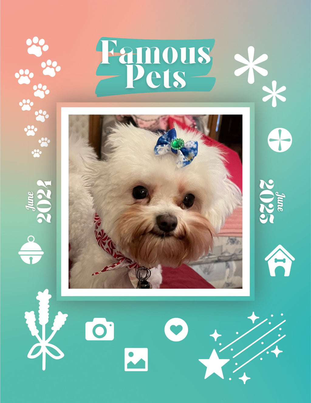 Famous Pets: June 2024-June 2025 Wall Calendar (Pre-Order)