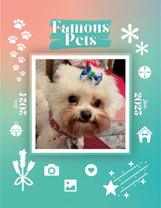 Famous Pets: June 2024-June 2025 Wall Calendar (Pre-Order)