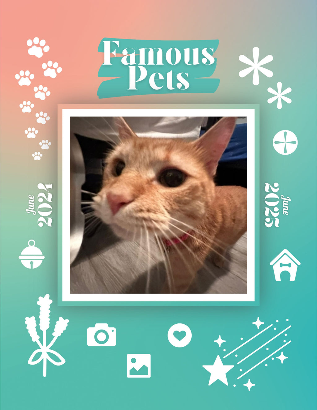Famous Pets: June 2024-June 2025 Wall Calendar (Pre-Order)
