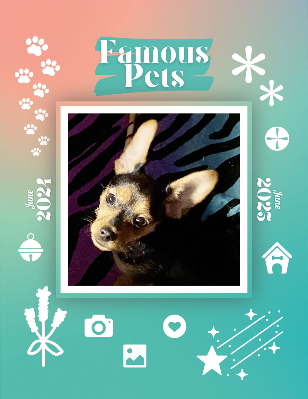 Famous Pets: June 2024-June 2025 Wall Calendar (Pre-Order)