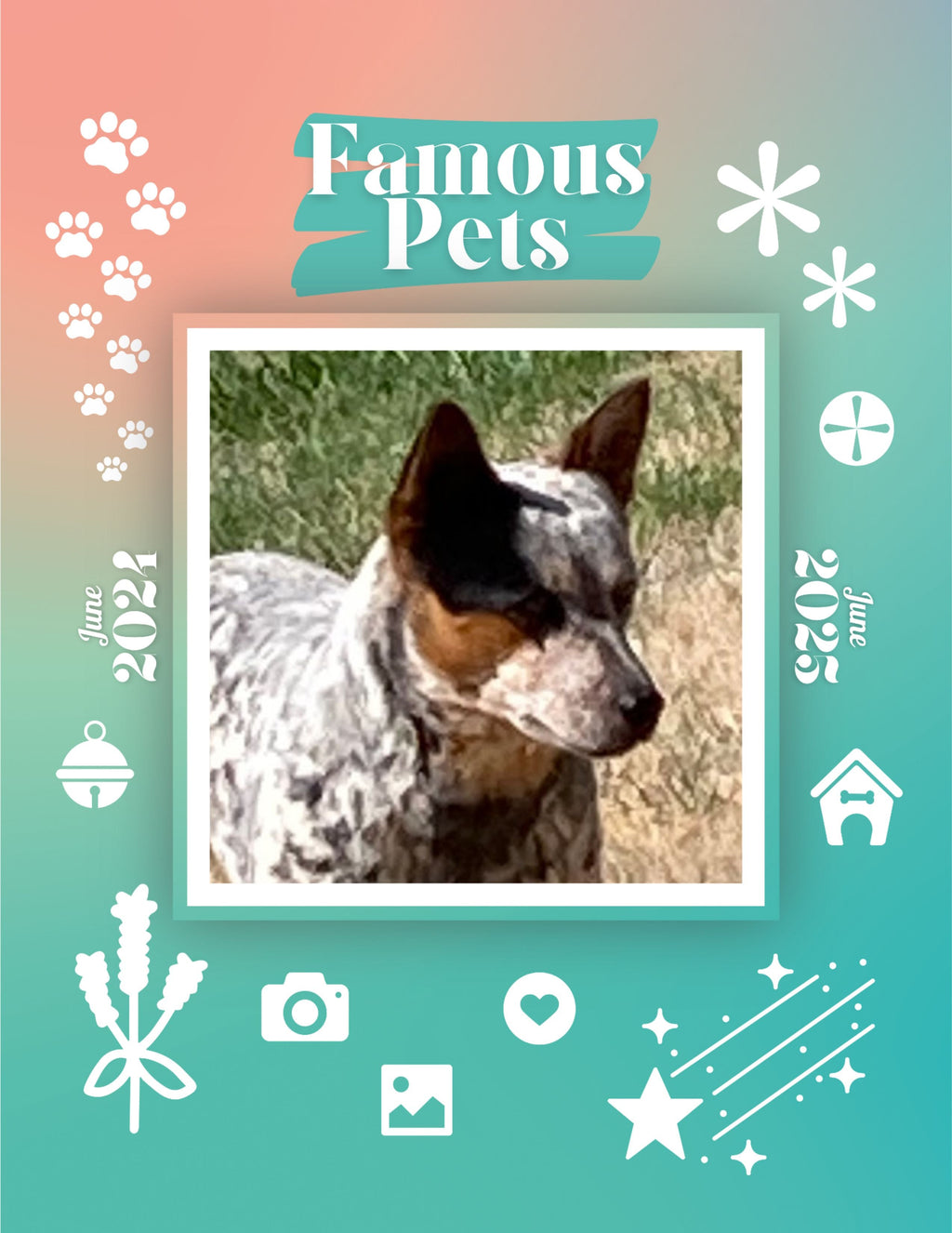 Famous Pets: June 2024-June 2025 Wall Calendar (Pre-Order)