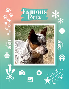 Famous Pets: June 2024-June 2025 Wall Calendar (Pre-Order)