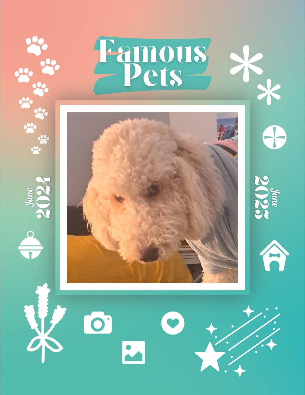 Famous Pets: June 2024-June 2025 Wall Calendar (Pre-Order)
