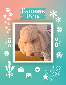 Famous Pets: June 2024-June 2025 Wall Calendar (Pre-Order)