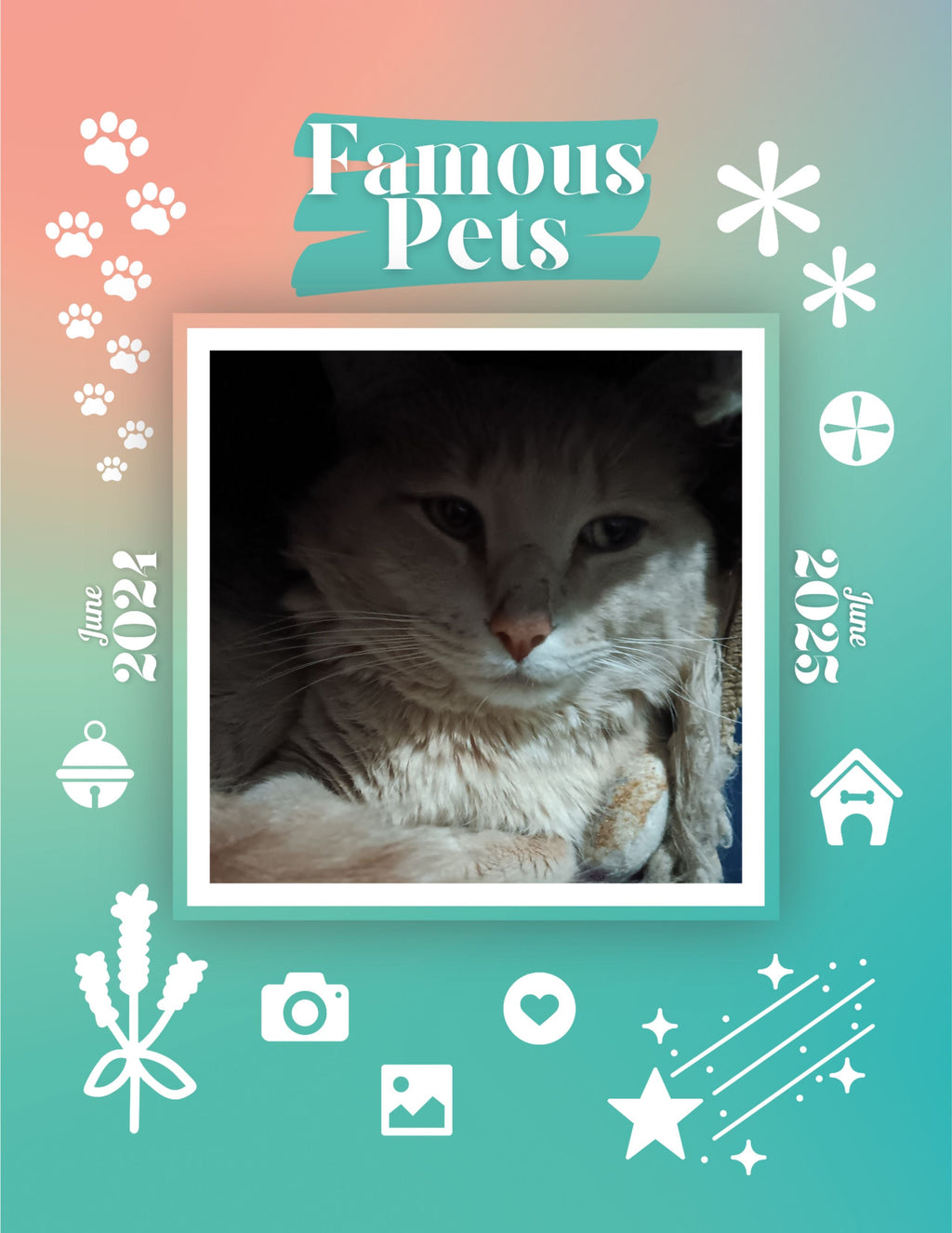 Famous Pets: June 2024-June 2025 Wall Calendar (Pre-Order)