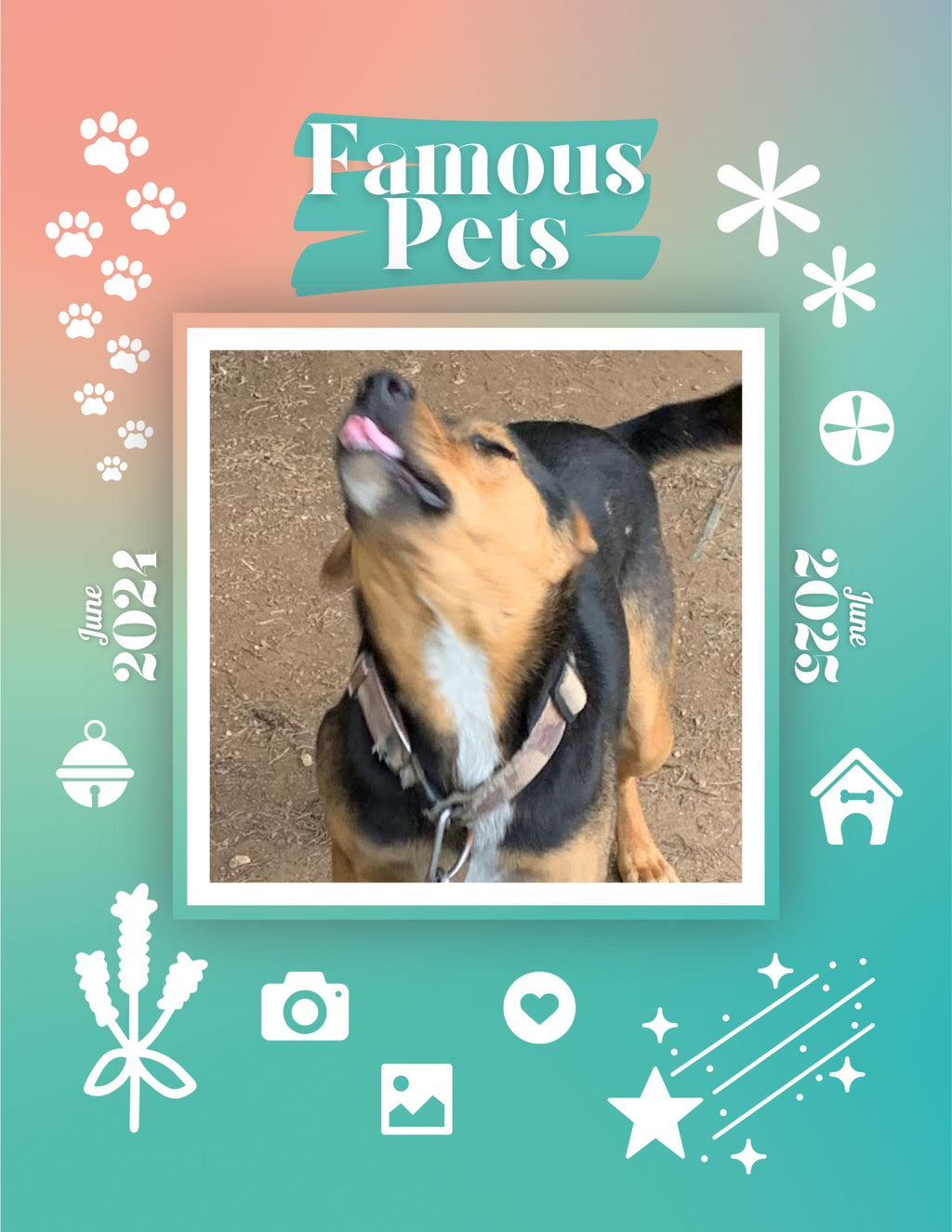 Famous Pets: June 2024-June 2025 Wall Calendar (Pre-Order)
