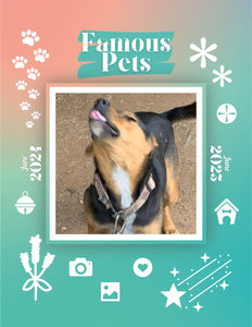 Famous Pets: June 2024-June 2025 Wall Calendar (Pre-Order)