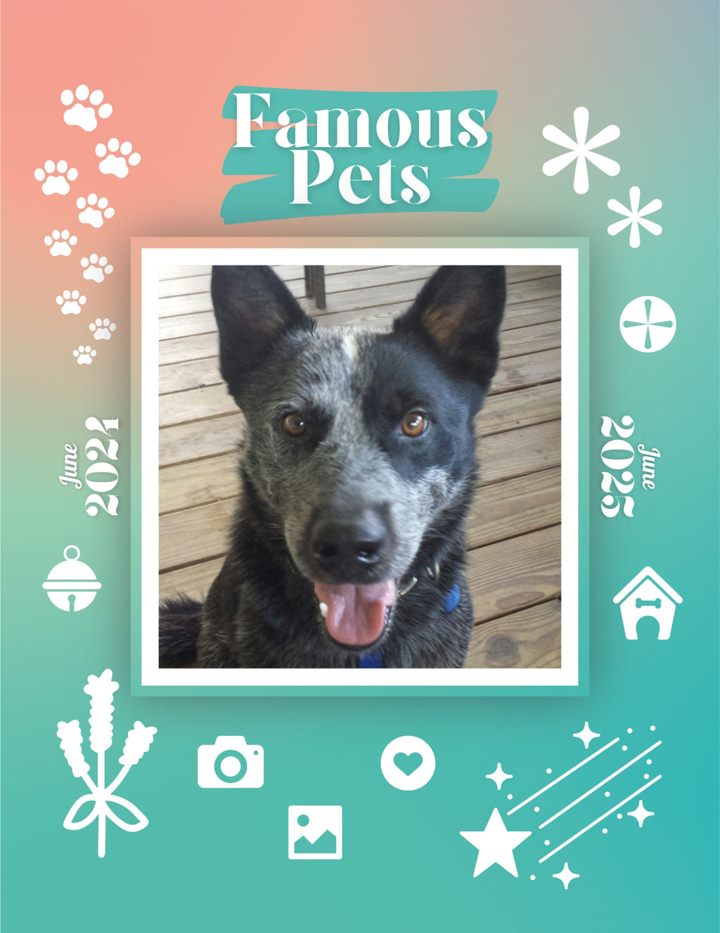 Famous Pets: June 2024-June 2025 Wall Calendar (Pre-Order)