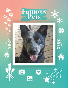 Famous Pets: June 2024-June 2025 Wall Calendar (Pre-Order)