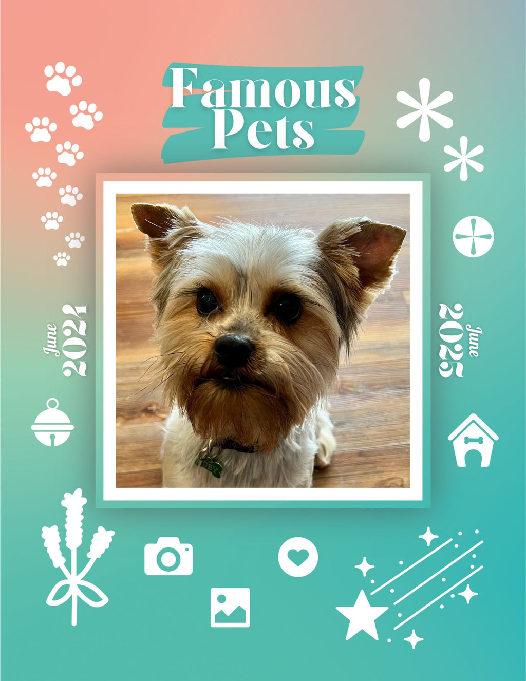 Famous Pets: June 2024-June 2025 Wall Calendar (Pre-Order)