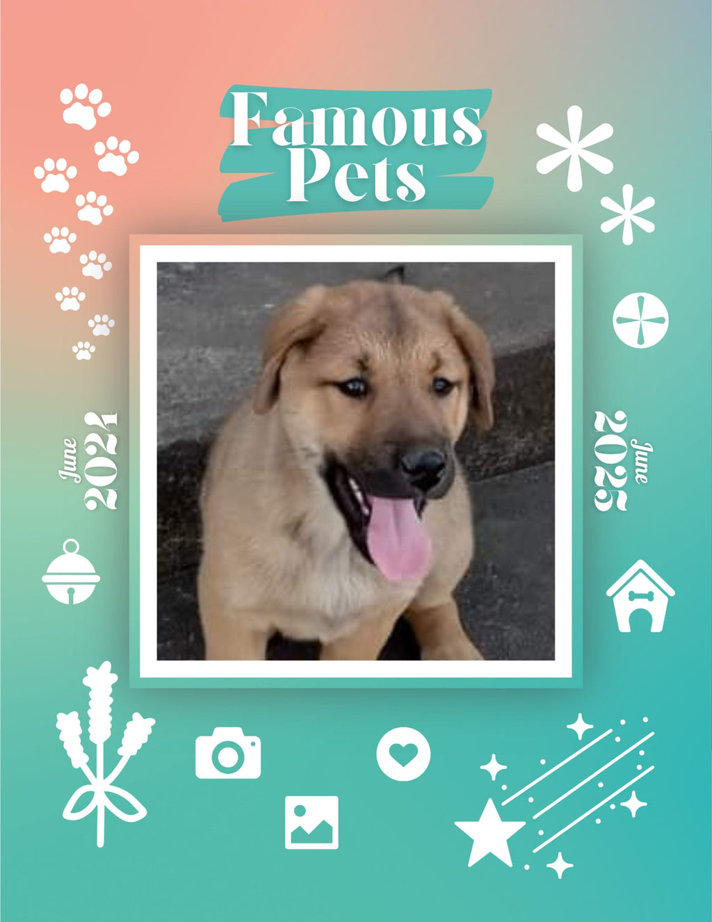 Famous Pets: June 2024-June 2025 Wall Calendar (Pre-Order)