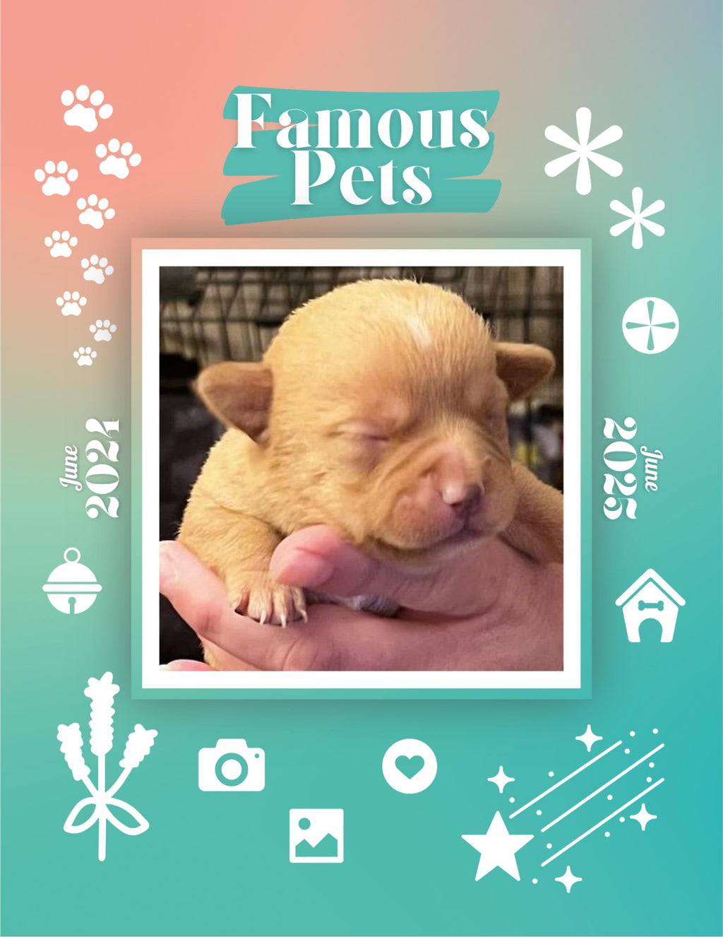 Famous Pets: June 2024-June 2025 Wall Calendar (Pre-Order)