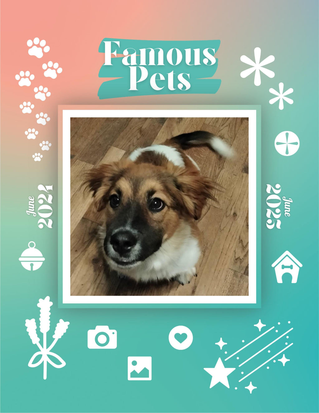 Famous Pets: June 2024-June 2025 Wall Calendar (Pre-Order)