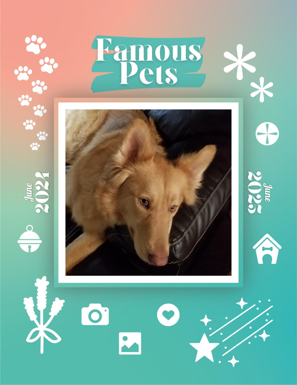 Famous Pets: June 2024-June 2025 Wall Calendar (Pre-Order)