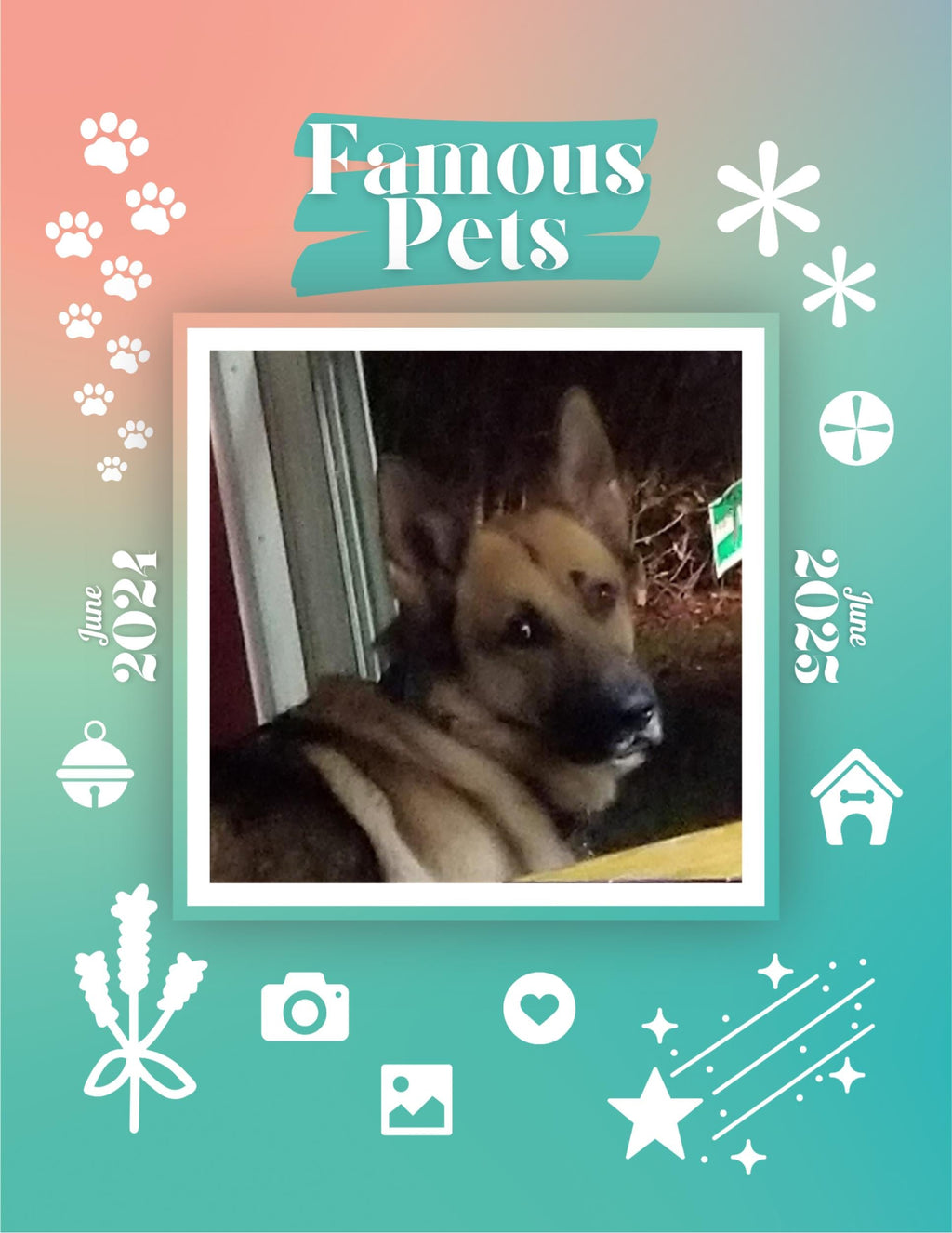 Famous Pets: June 2024-June 2025 Wall Calendar (Pre-Order)