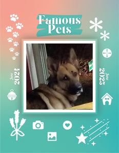 Famous Pets: June 2024-June 2025 Wall Calendar (Pre-Order)