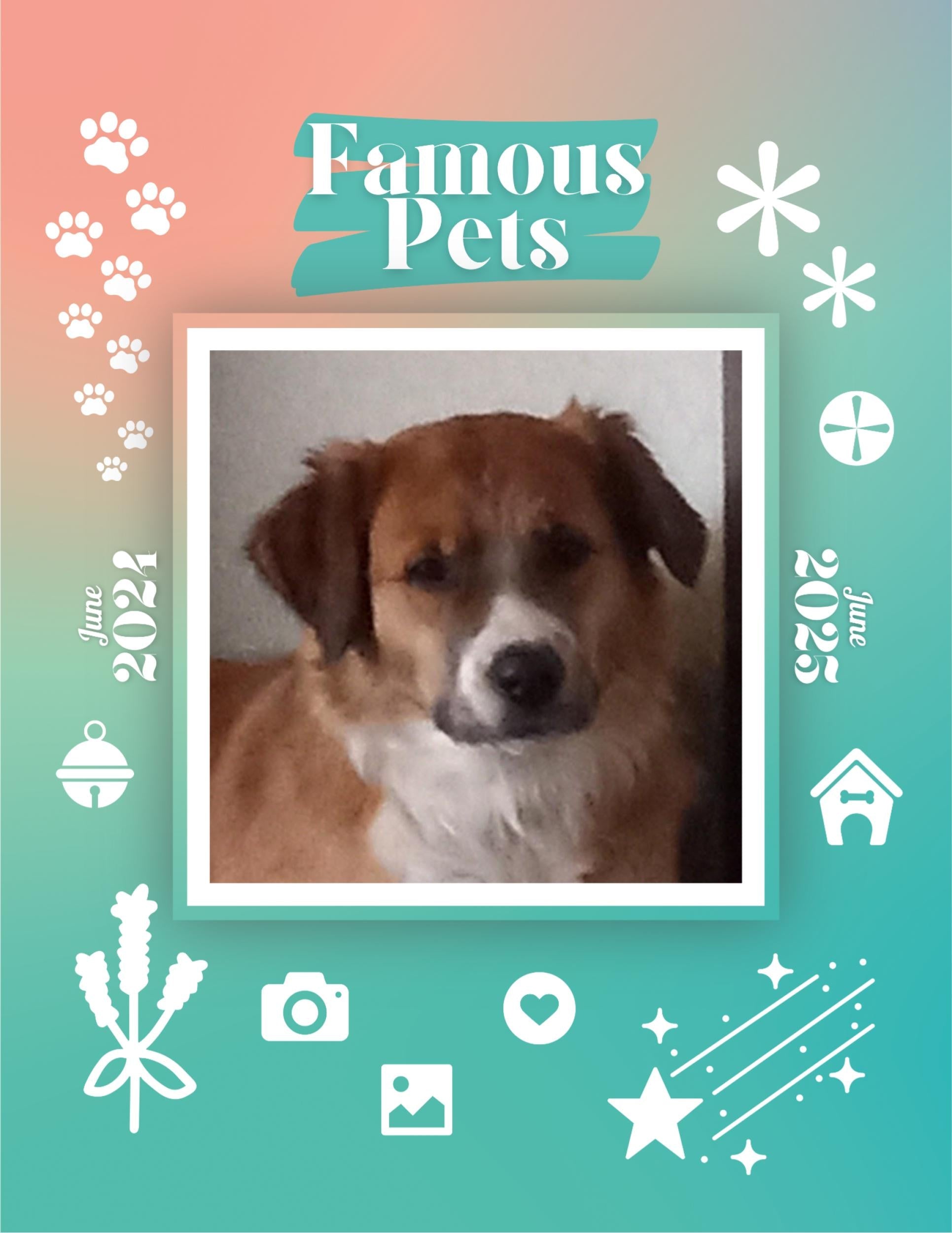 Famous Pets: June 2024-June 2025 Wall Calendar (Pre-Order)