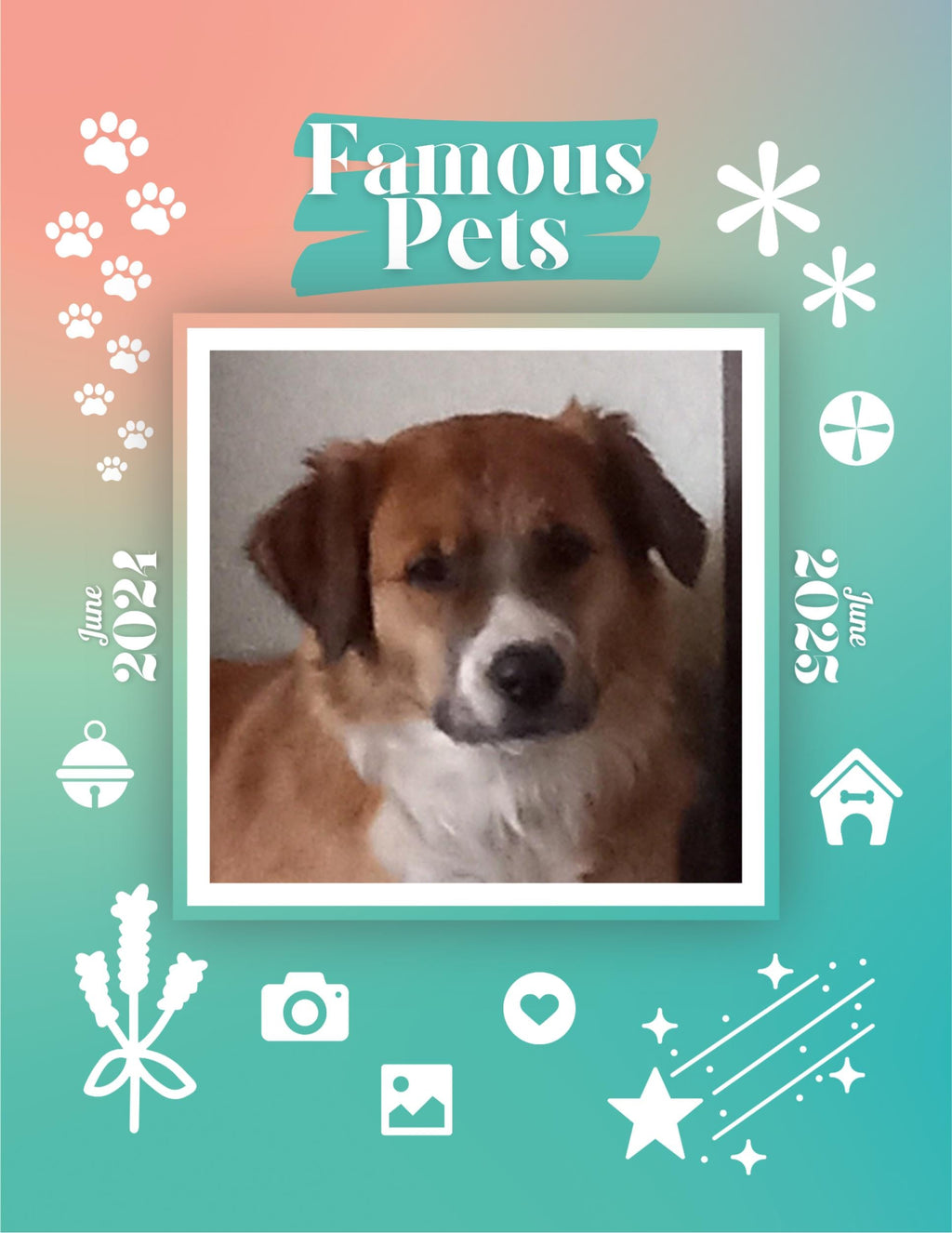 Famous Pets: June 2024-June 2025 Wall Calendar (Pre-Order)