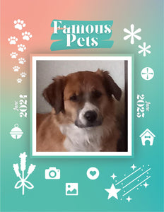 Famous Pets: June 2024-June 2025 Wall Calendar (Pre-Order)