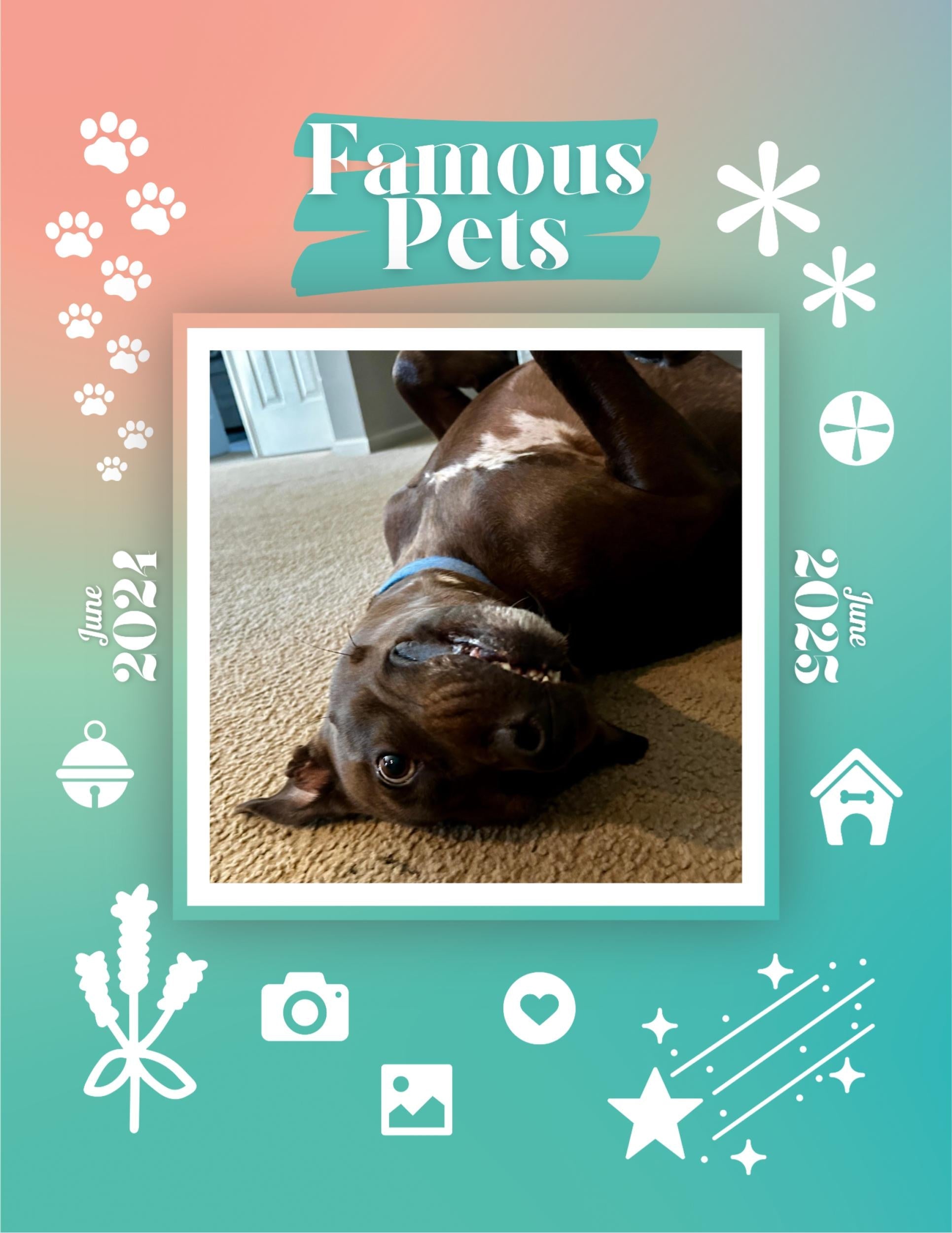 Famous Pets: June 2024-June 2025 Wall Calendar (Pre-Order)
