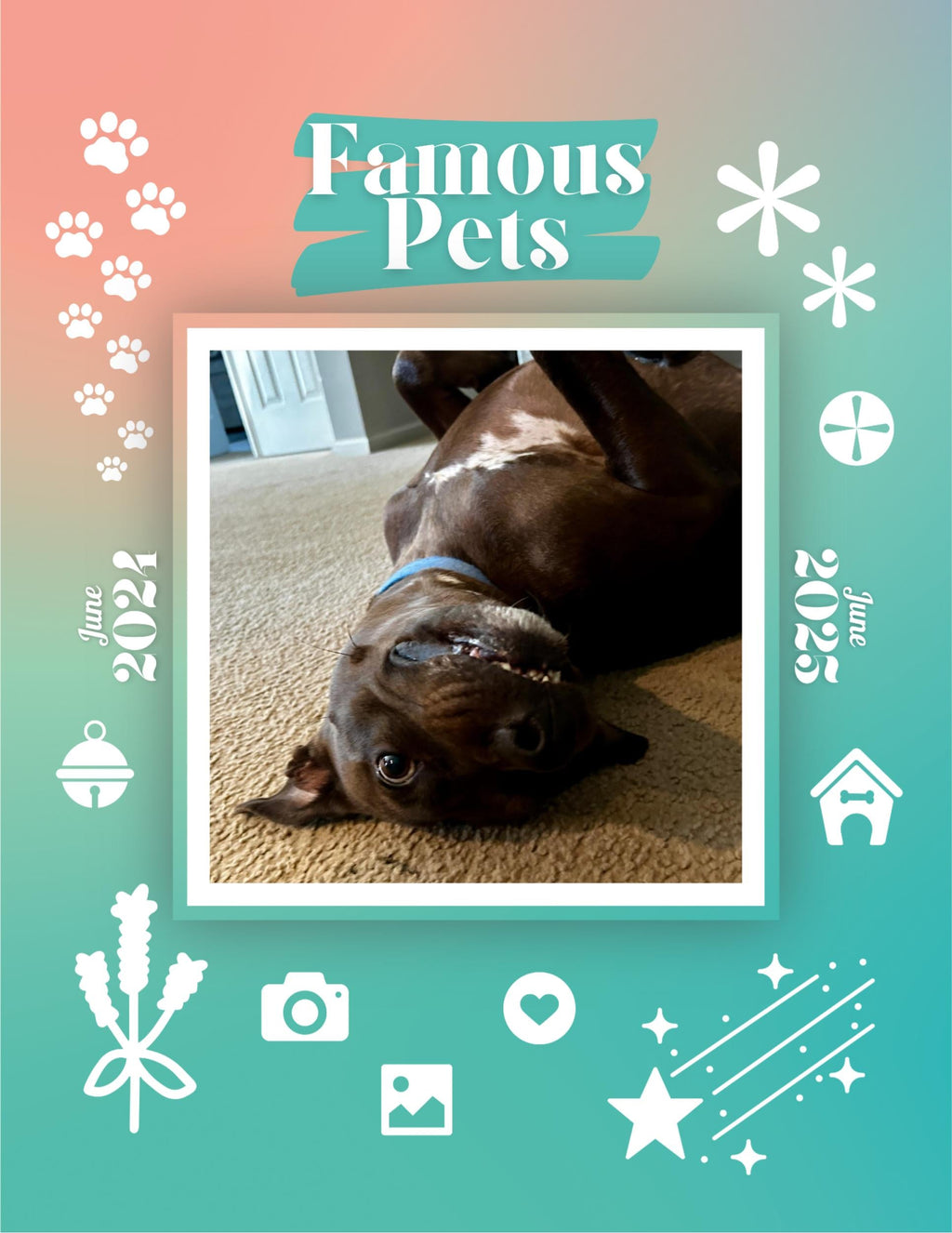 Famous Pets: June 2024-June 2025 Wall Calendar (Pre-Order)