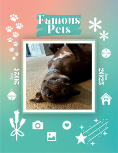 Famous Pets: June 2024-June 2025 Wall Calendar (Pre-Order)