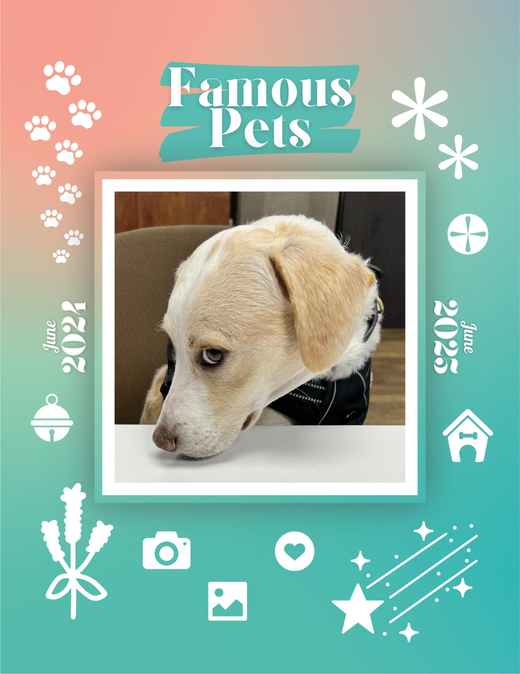 Famous Pets: June 2024-June 2025 Wall Calendar (Pre-Order)
