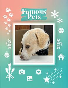 Famous Pets: June 2024-June 2025 Wall Calendar (Pre-Order)