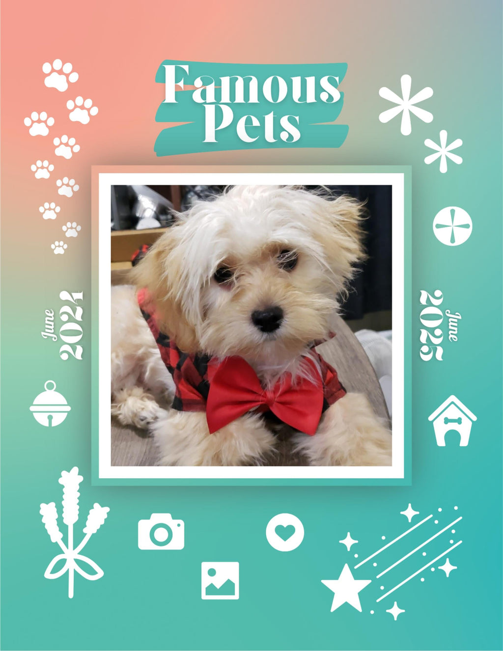 Famous Pets: June 2024-June 2025 Wall Calendar (Pre-Order)