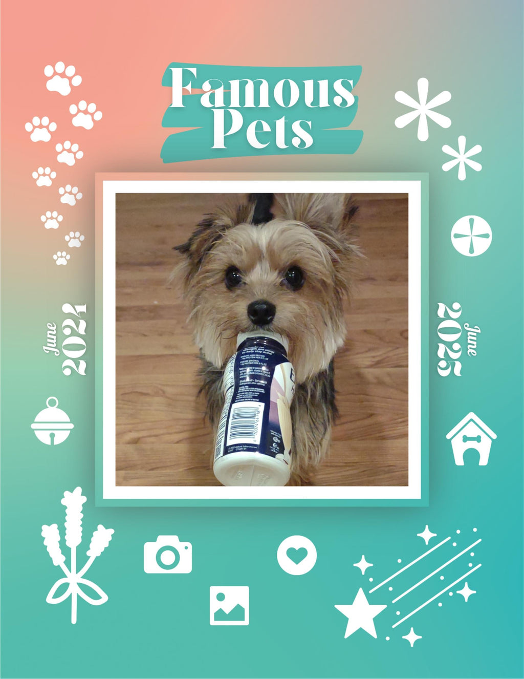 Famous Pets: June 2024-June 2025 Wall Calendar (Pre-Order)