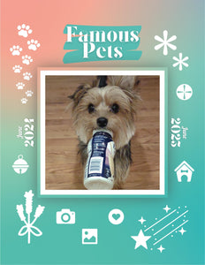 Famous Pets: June 2024-June 2025 Wall Calendar (Pre-Order)