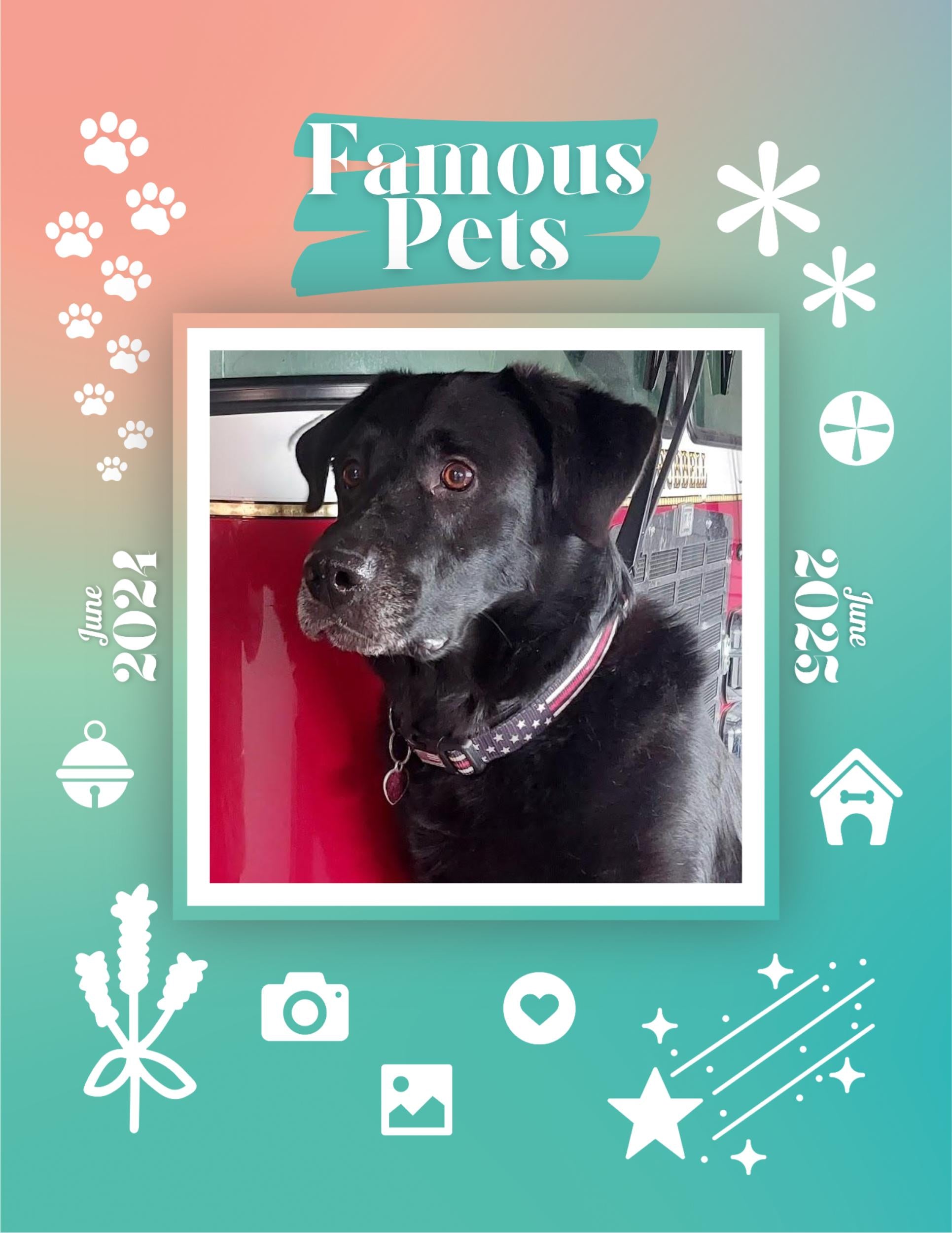 Famous Pets: June 2024-June 2025 Wall Calendar (Pre-Order)