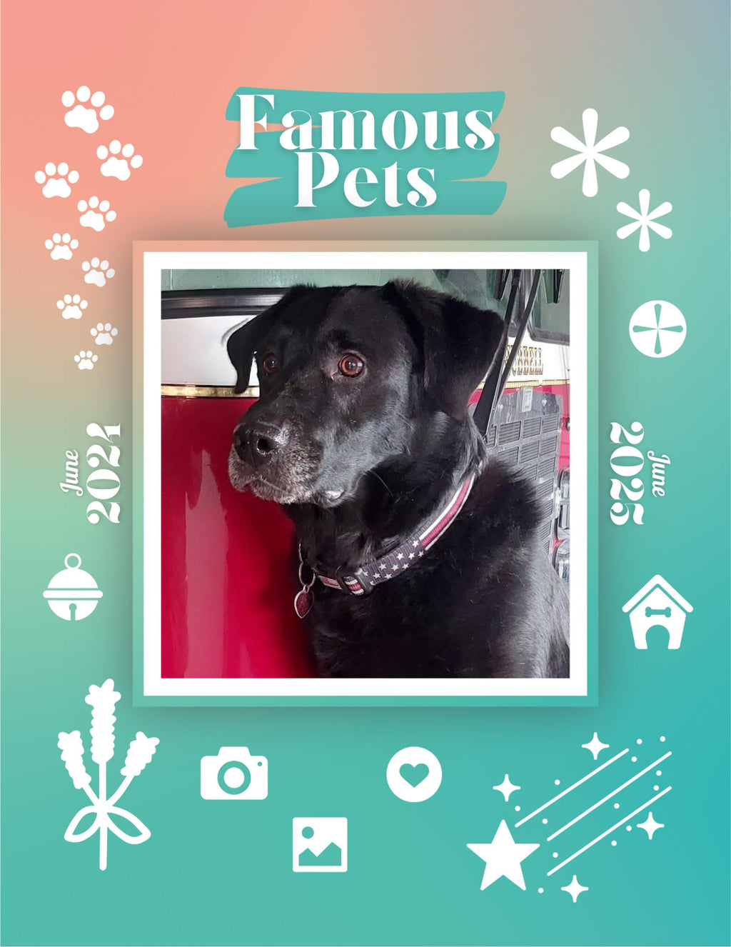 Famous Pets: June 2024-June 2025 Wall Calendar (Pre-Order)