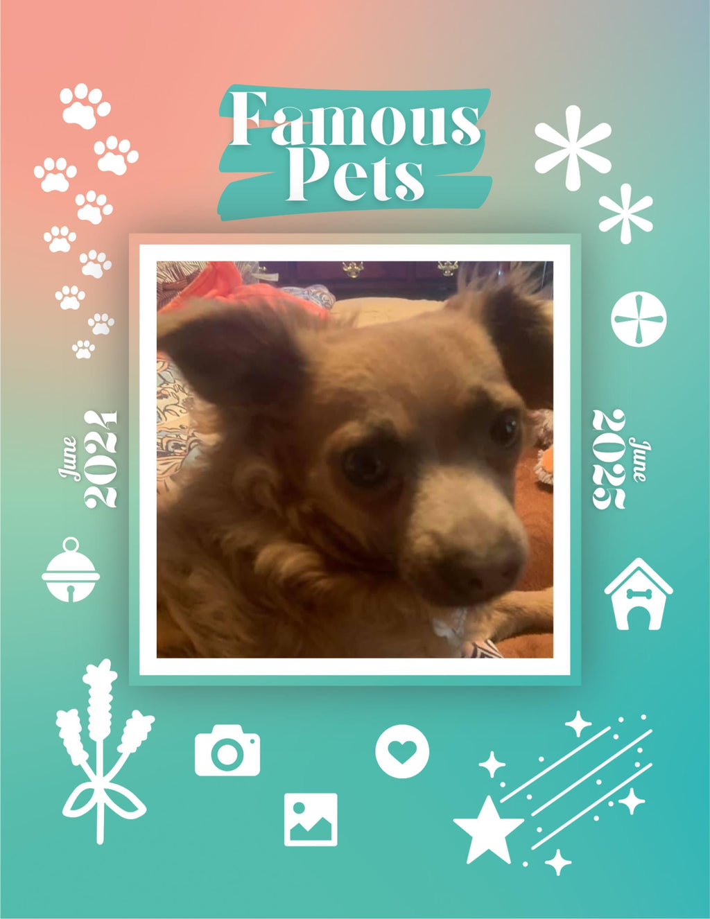 Famous Pets: June 2024-June 2025 Wall Calendar (Pre-Order)
