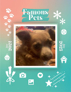 Famous Pets: June 2024-June 2025 Wall Calendar (Pre-Order)