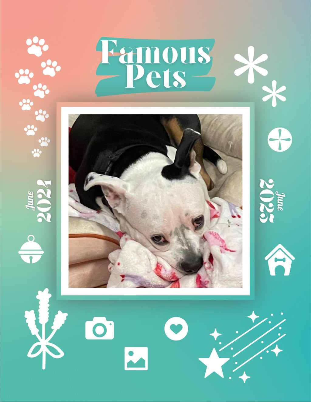 Famous Pets: June 2024-June 2025 Wall Calendar (Pre-Order)