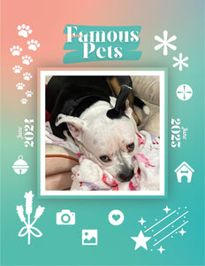 Famous Pets: June 2024-June 2025 Wall Calendar (Pre-Order)