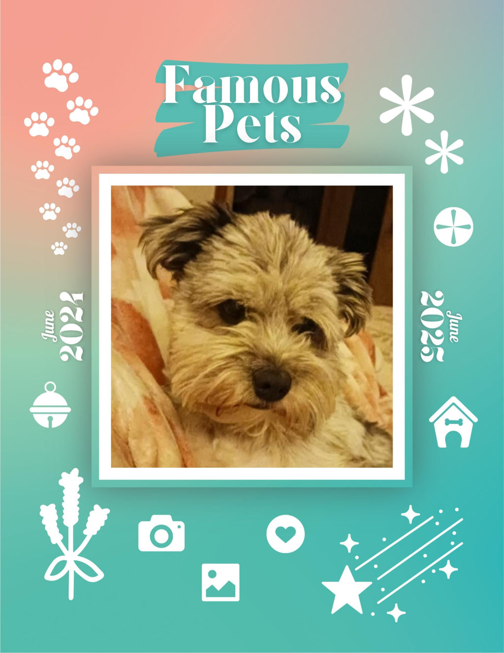 Famous Pets: June 2024-June 2025 Wall Calendar (Pre-Order)