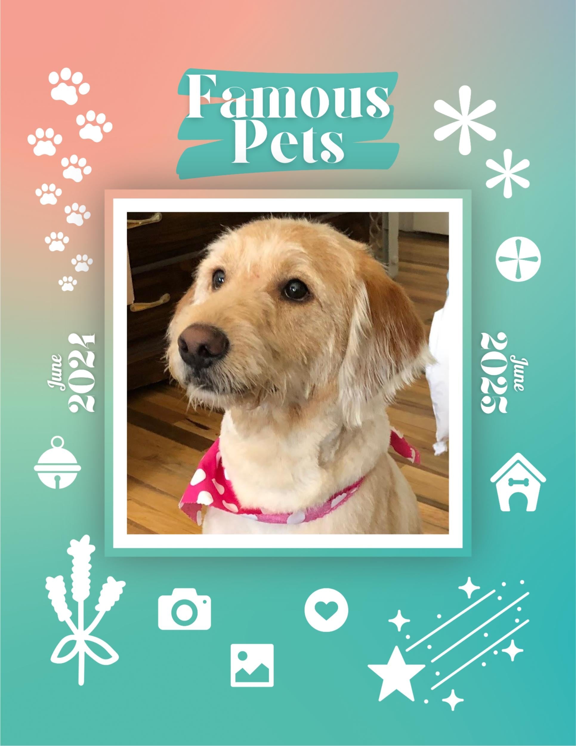 Famous Pets: June 2024-June 2025 Wall Calendar (Pre-Order)