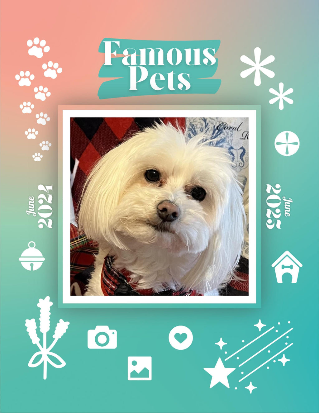Famous Pets: June 2024-June 2025 Wall Calendar (Pre-Order)