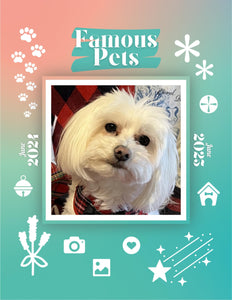 Famous Pets: June 2024-June 2025 Wall Calendar (Pre-Order)