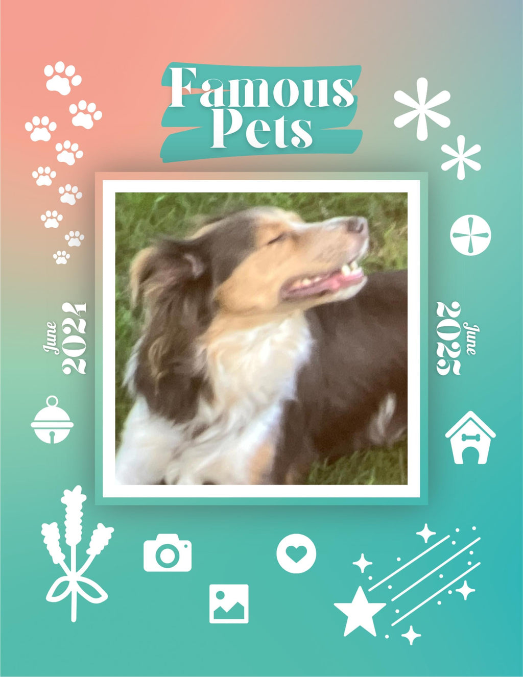 Famous Pets: June 2024-June 2025 Wall Calendar (Pre-Order)