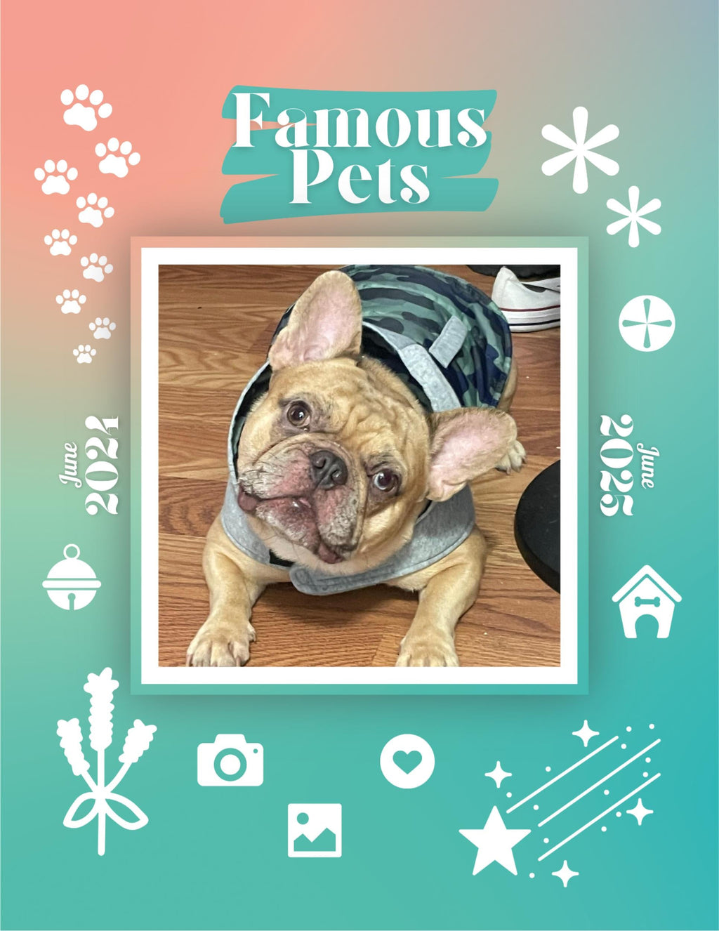 Famous Pets: June 2024-June 2025 Wall Calendar (Pre-Order)