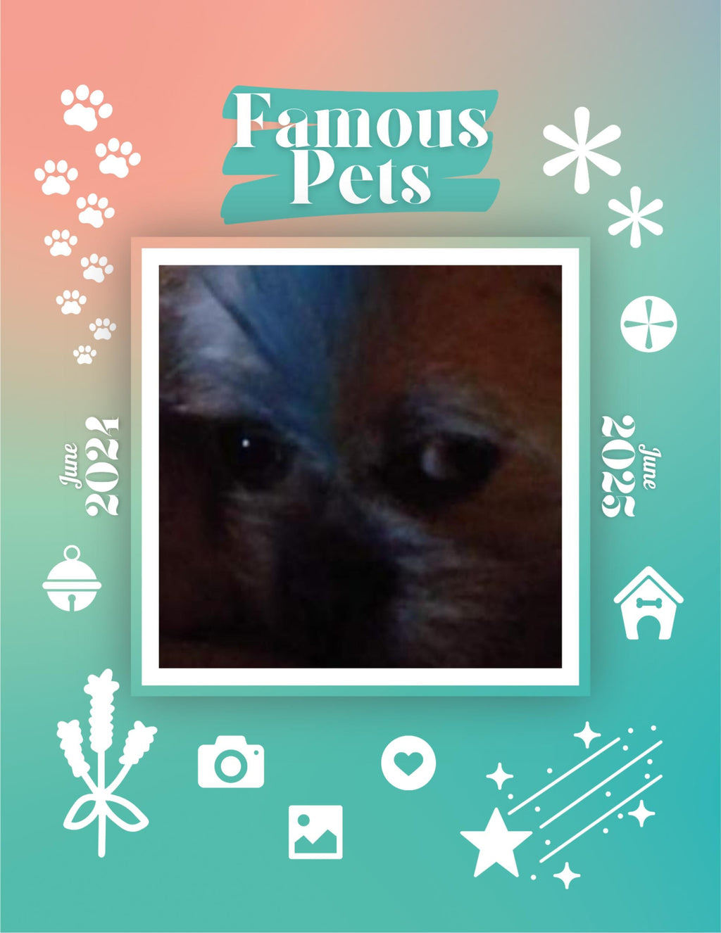 Famous Pets: June 2024-June 2025 Wall Calendar (Pre-Order)