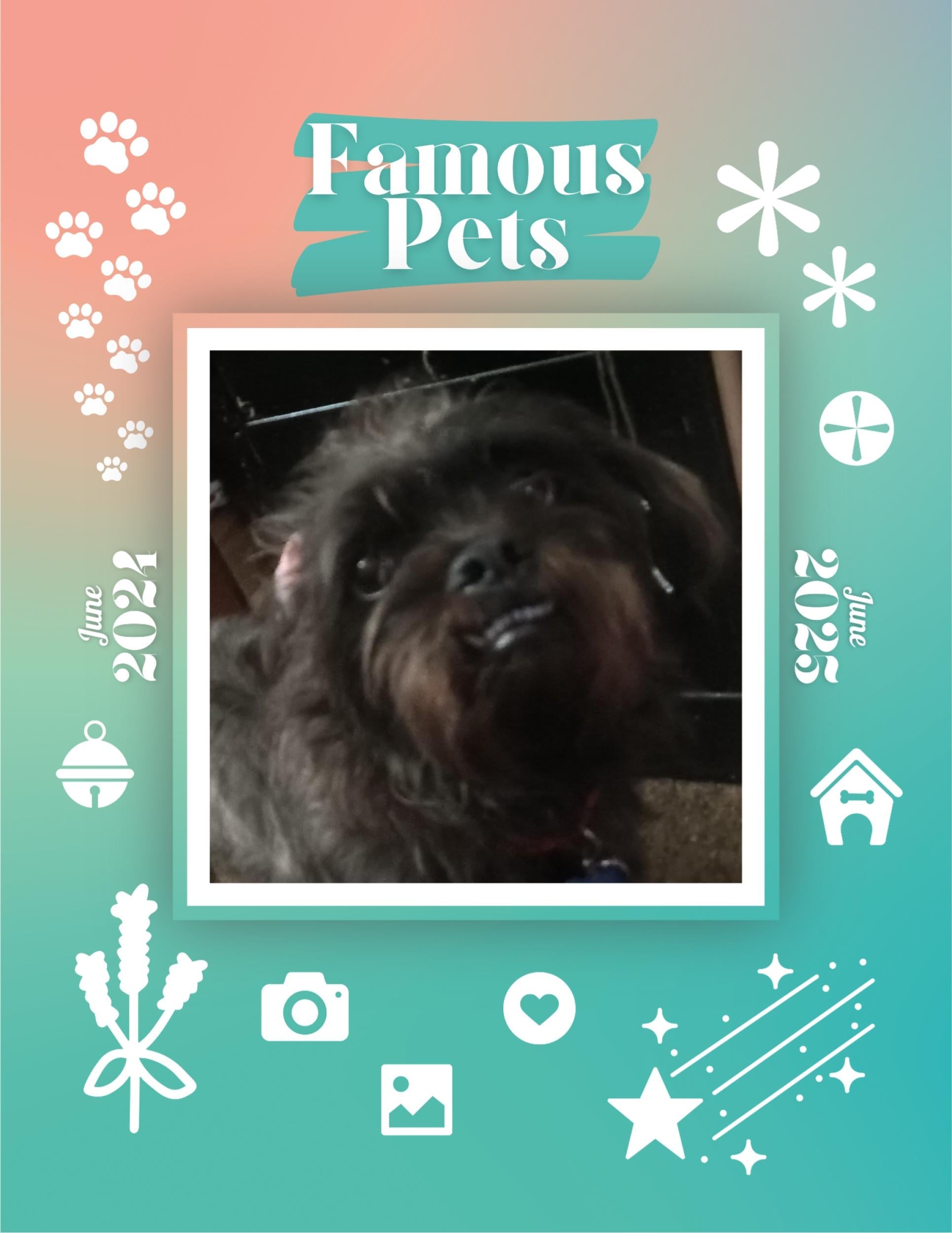 Famous Pets: June 2024-June 2025 Wall Calendar (Pre-Order)