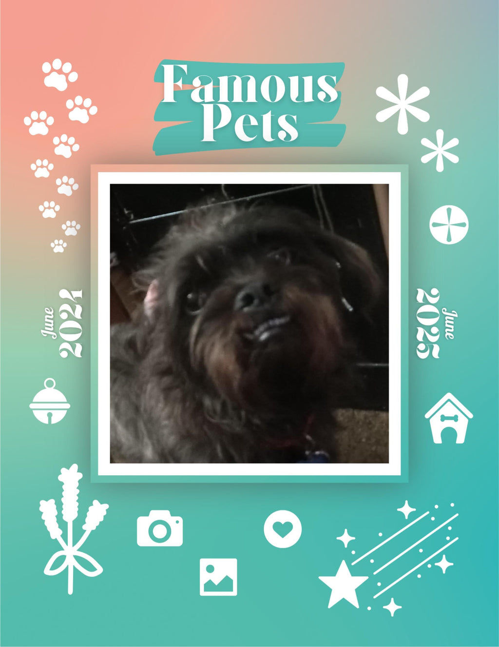 Famous Pets: June 2024-June 2025 Wall Calendar (Pre-Order)