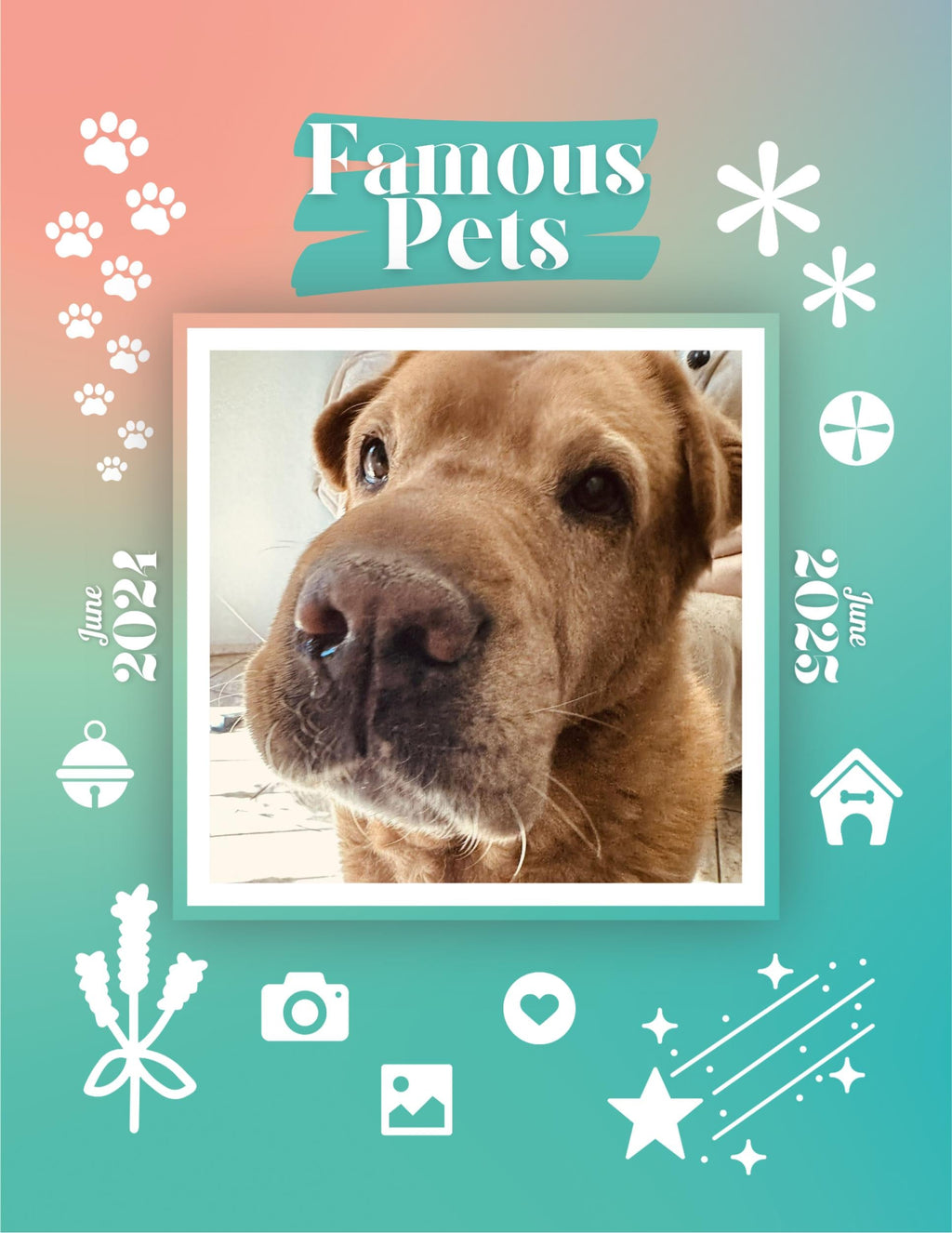 Famous Pets: June 2024-June 2025 Wall Calendar (Pre-Order)