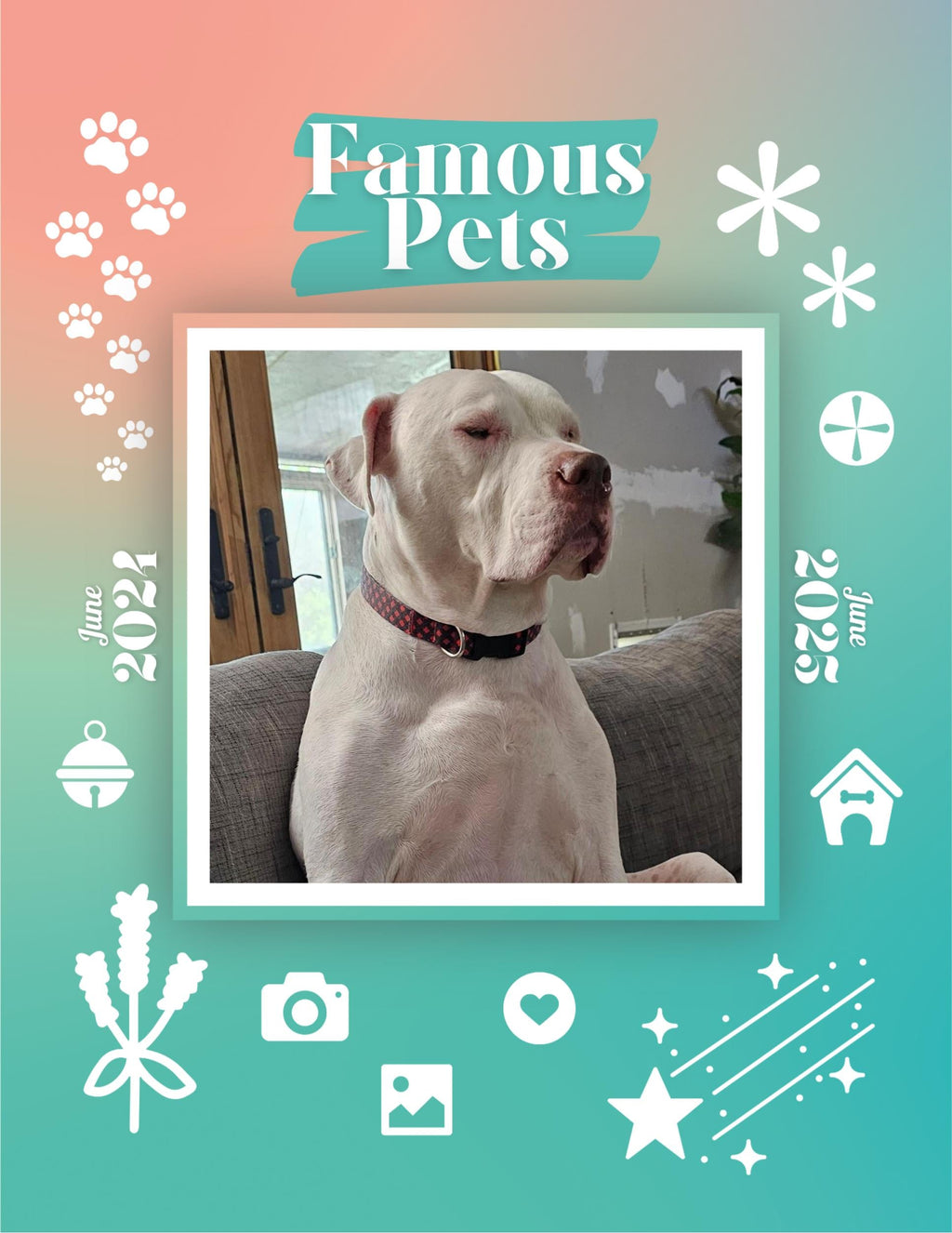 Famous Pets: June 2024-June 2025 Wall Calendar (Pre-Order)